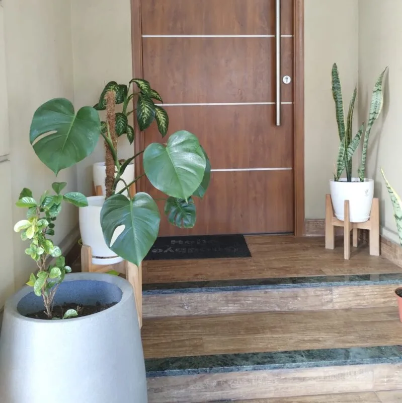 Imagen de WhatsApp 2025-04-10 a las 11.25.37_742b80cb