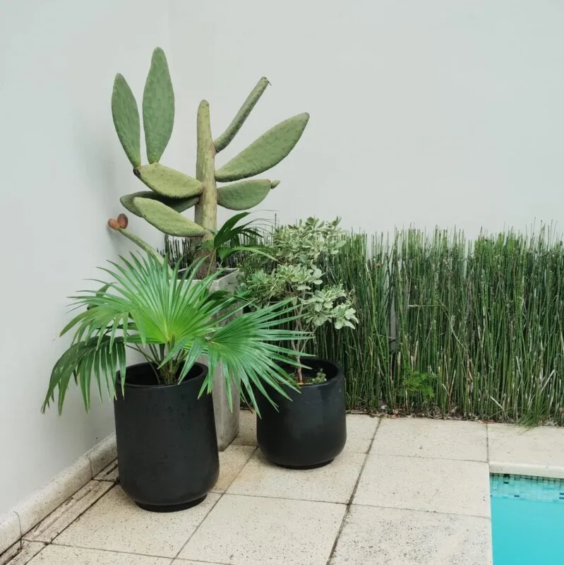 Imagen de WhatsApp 2025-04-15 a las 16.49.50_913f1a71