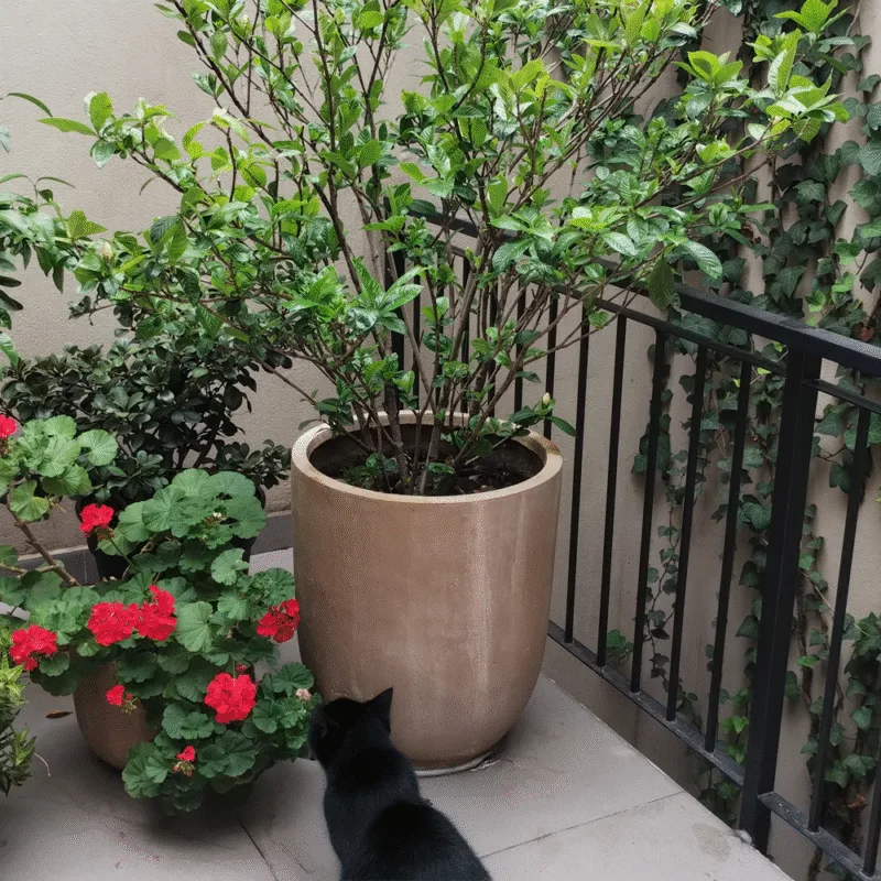 creating_balcon-exterior_2