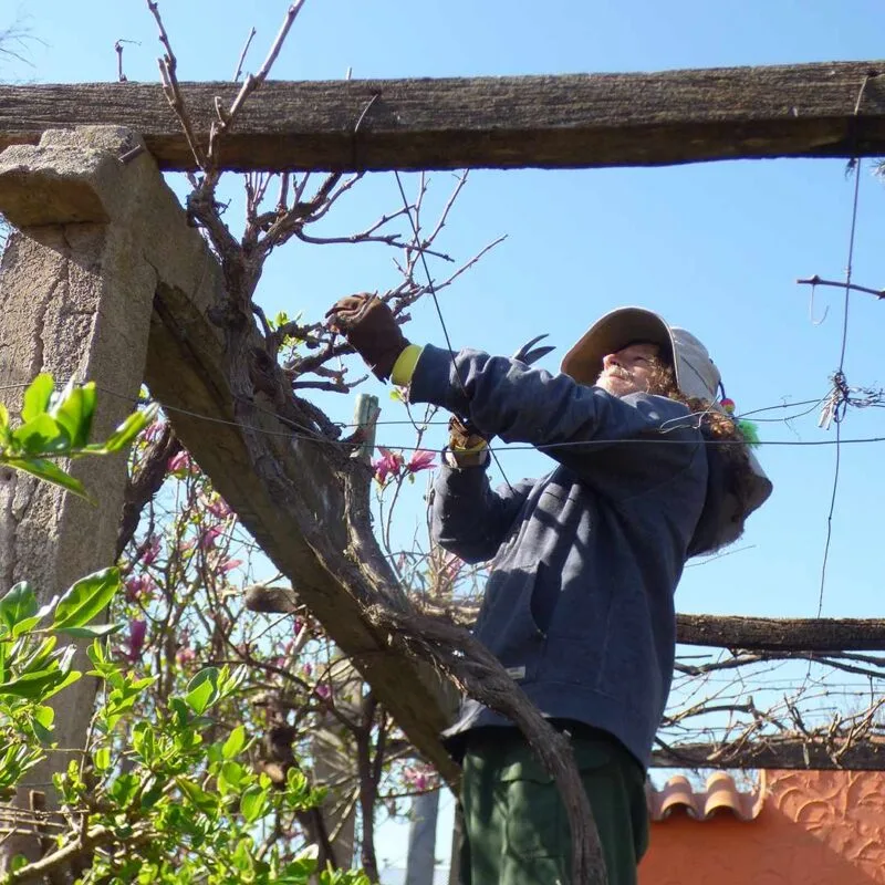 creating-huerta-parra-poda