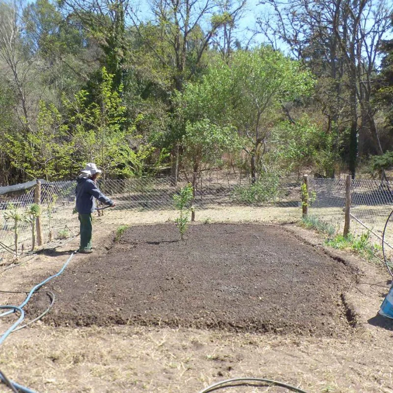 creating-huerta-preparacion-terreno
