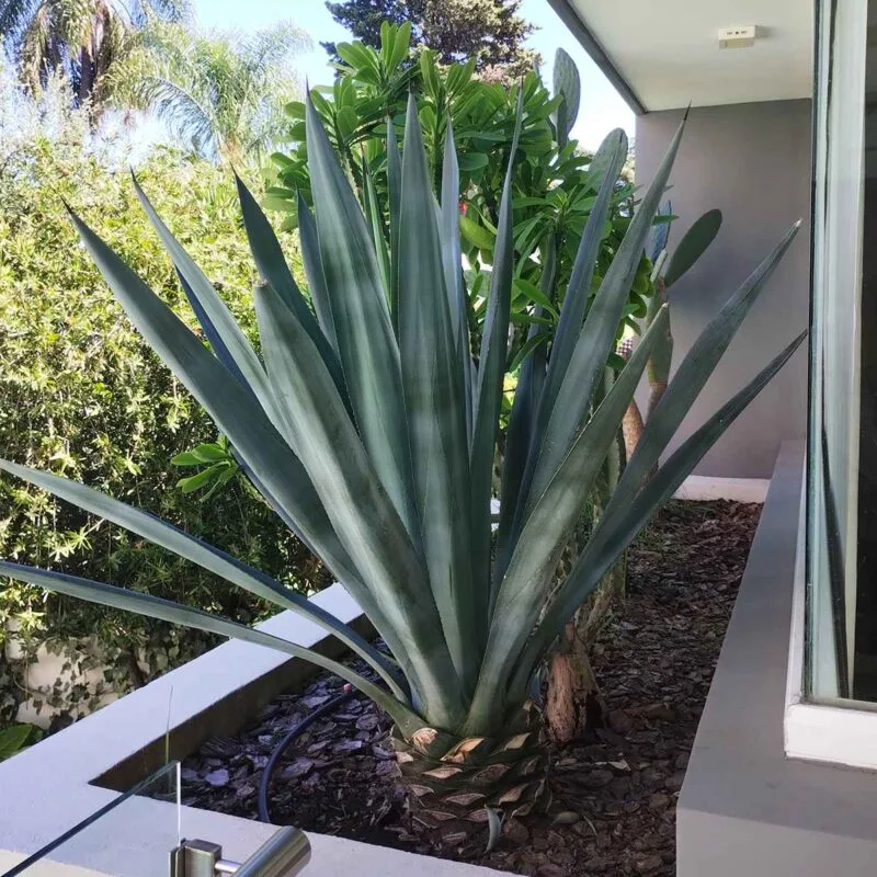 creating_exterior_26