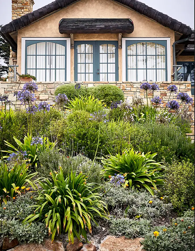 Plantas nativas en un jardín urbano