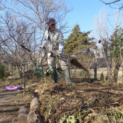 creating-huerta-compost