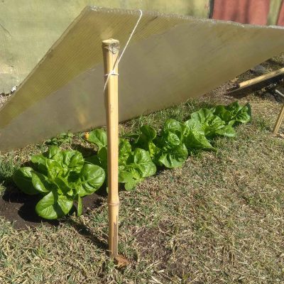 creating-huerta-varios-2