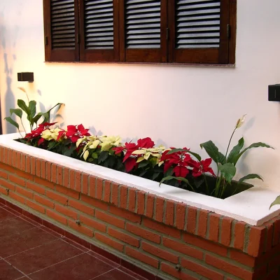 creating-interior
