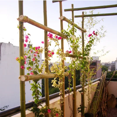 creating_balcon-exterior_04